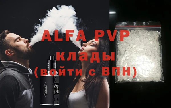 прущие грибы Бородино