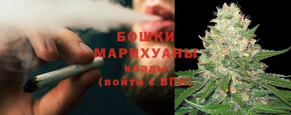 прущие грибы Бородино