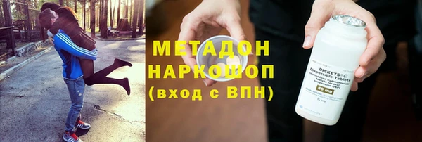 прущие грибы Бородино
