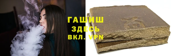 прущие грибы Бородино
