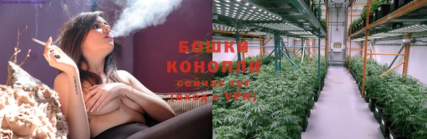 PSILOCYBIN Бугульма