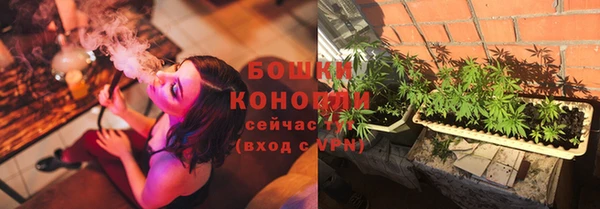 PSILOCYBIN Бугульма